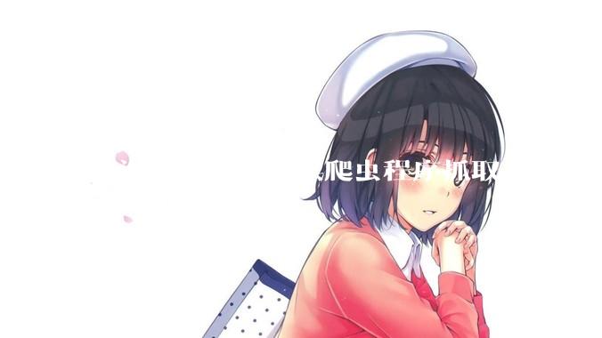 上海首例认定提供爬虫程序抓取公开数据构成提供侵入计算机信息系统程序罪案，该案件有哪些细节值得关注？